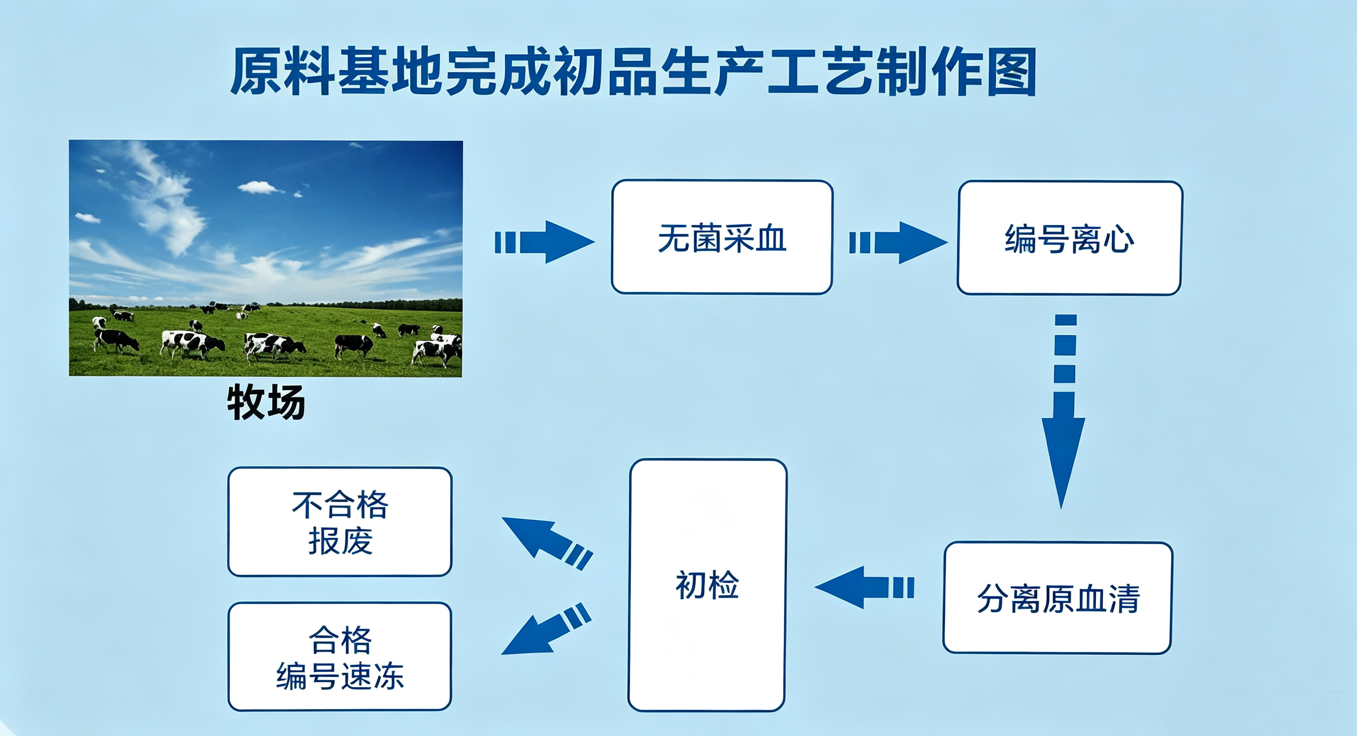 原料基地生产工艺图